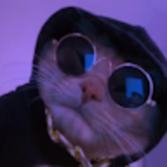 Meet your Posher, Gracie - Picture 1 of 1